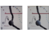 Art image - Dual View Exact moment of seasons change